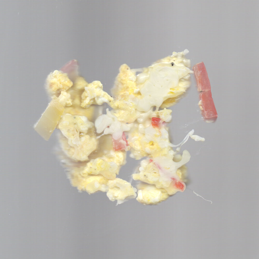 Scrambled eggs in my scanner. Not very attractive.